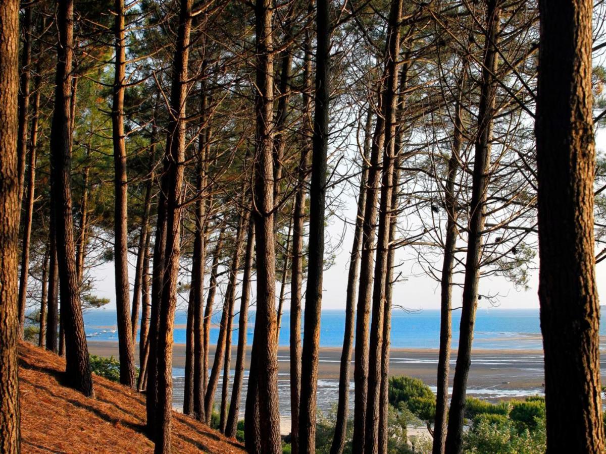Arcachon Centre : Charmant T2 Avec Loggia, Parking Securise Et Proche Plage - Fr-1-420-61 Exteriér fotografie